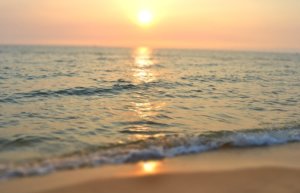 Kiev is the capital of Ukraine